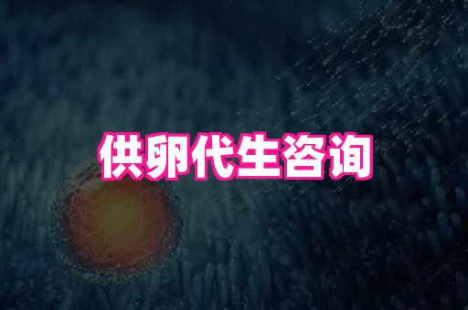 swisee孕网 1