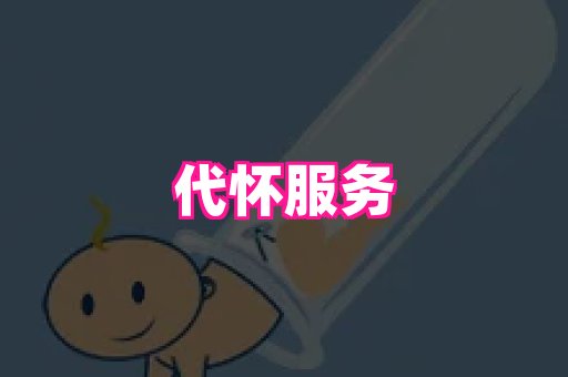 swisee孕网 2
