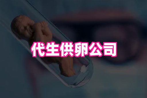 swisee孕网 3