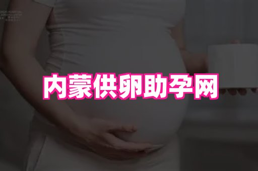 swisee孕网 4